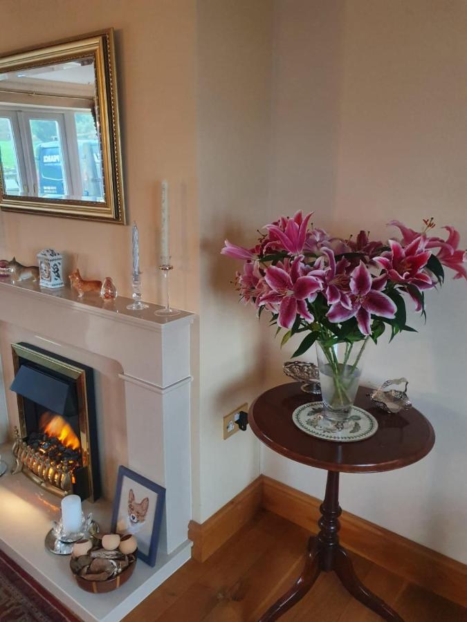 The Croft Guest House Narberth Εξωτερικό φωτογραφία